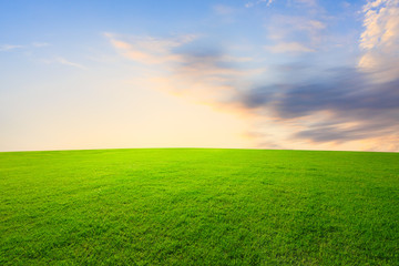 Fototapeta na wymiar Green grass and beautiful sky at sunset
