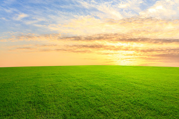 Green grass and beautiful sky at sunset