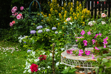 Beautiful, home garden with white garden table and blooming roses