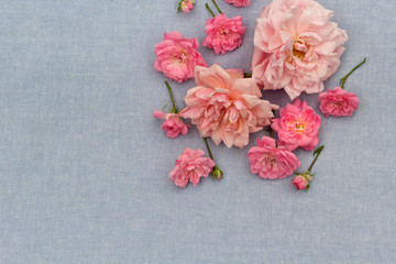 Fototapeta na wymiar Beautiful, romantic rosy background