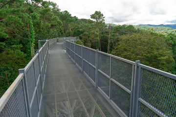 A canopy walkway at a botanical garden in Chiang Mai, Thailand is built to promote eco-tourism in Thailand.