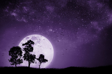 Naklejka na ściany i meble Full moon night With the shadow of a tree And birds that fly back to the nest. Mixed media. Proton purple.
