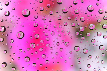 Water drop colorful flowers