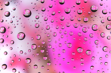 Water drop colorful flowers