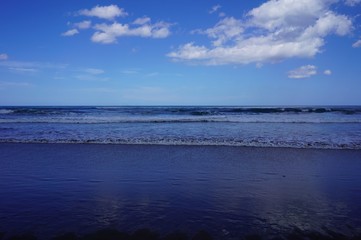 美しいニュージーランドの夏の海岸