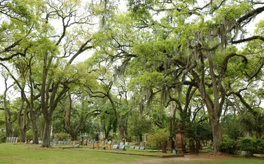 Fototapeta na wymiar Tombs and oak trees at the cemetery located in historic Grace Episcopal Church, St Francisville, Louisiana, USA.