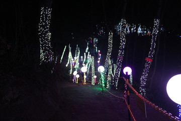 화려한 조명