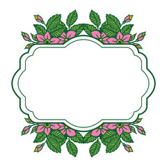 Vector illustration pink flower frames blooms with green leaves hand drawn