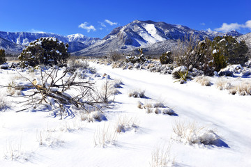 Snow covered alpine terrain in the Mount Charleston region, popular hiking and climbing spots in the Spring Mountains, near Las Vegas Nevada, USA