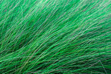 abstract green background