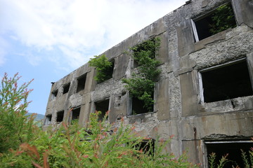 Fototapeta na wymiar ruins of old house