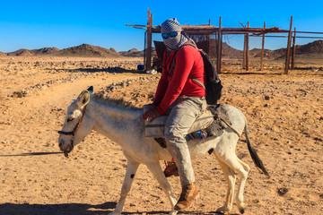 Tourist ride a donkey in Arabian desert, Egypt