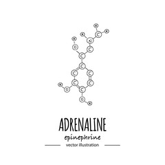 Hand drawn doodle Adrenaline chemical formula icon Vector illustration Cartoon molecule Sketch Epinephrine symbol molecular structure Structural scientific hormone formula isolated on white background © natashapankina