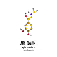 Hand drawn doodle Adrenaline chemical formula icon Vector illustration Cartoon molecule Sketch Epinephrine symbol molecular structure Structural scientific hormone formula isolated on white background