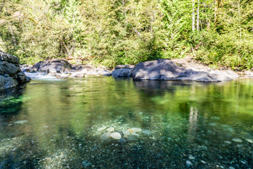 Beautiful river in forest nature Peaceful canadian background.