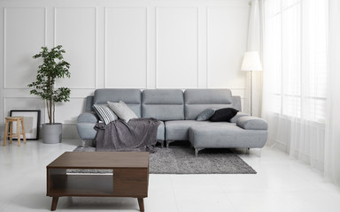 Scandinavian style livingroom with fabric sofa, sofa table. morning image with plant. sofa table on the lug.