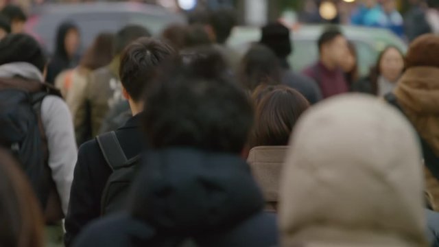 スローモーション 歩く人々 群衆 後ろ姿 2019年 冬 曇 新宿 繁華街