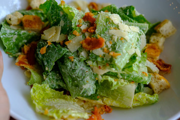 Special caesar salad