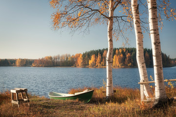 Autumn lake landscape with birches and a boat
