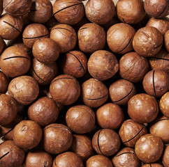 Unshelled macadamia nuts background close-up.Top view.