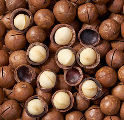 Shelled and unshelled macadamia nuts  background close-up.Top view.