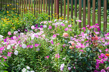 Flower garden along the fence.