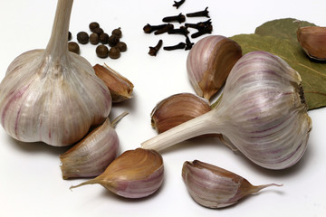 Raw garlic isolated on white background