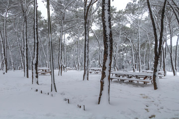 Picnic tables covered in snow 