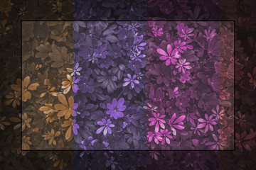 Colorful natural leaf wall for Texture and background