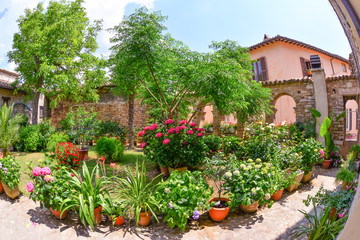 Fototapety na wymiar - Fototapeta24.pl