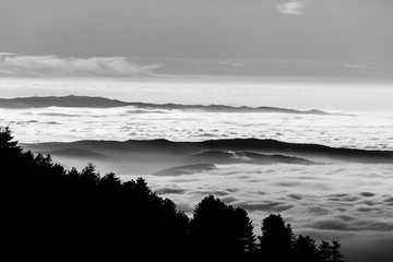 Beautiful view of Umbria valley (Italy) covered by a sea of fog, with trees silhouettes in the foreground