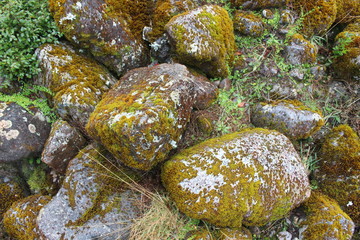 Patagonia, Chile, sur, austral, lago verde, carretera austral, bosque, nativo, autóctono, campo, viaje, vacaciones, descanso, naturaleza., piedras