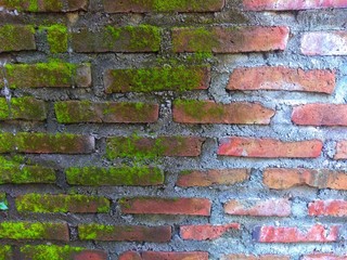The defference between mossy brick wall and clean brick wall