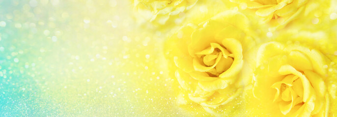 yellow roses flower soft romance background with beautiful glitter and copy space for header 