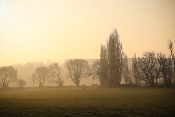 Sunrise Devon Countryside