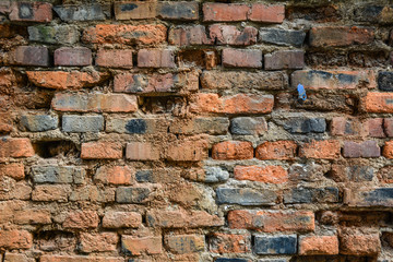Dirty grunge bricks texture