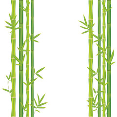 Fototapeta na wymiar Stalks of bamboo