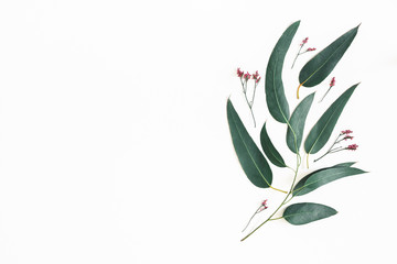 Flowers composition. Eucalyptus leaves and pink flowers on white background. Flat lay, top view,...