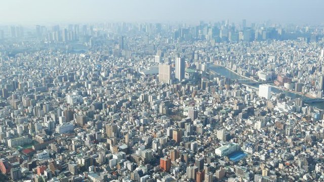 tokyo201902D4t
