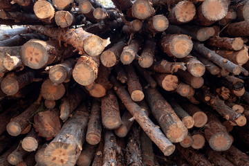 Stacked firewood in a pile outdoors close-up. A pile of chopped firewood ready for stacking. Preparation heating house in winter.