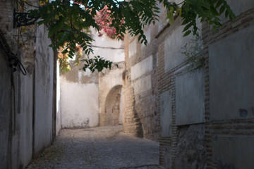Fototapeta na wymiar Street of the Albaicin neighborhood in Granada. Spain