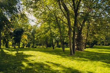 Beautiful park scene in public park with green grass field, green tree plant and a party cloudy blue sky