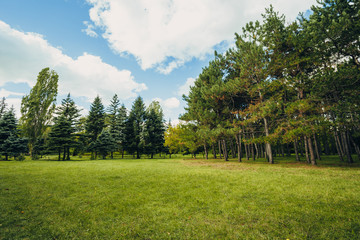 Beautiful park scene in public park with green grass field, green tree plant and a party cloudy blue sky