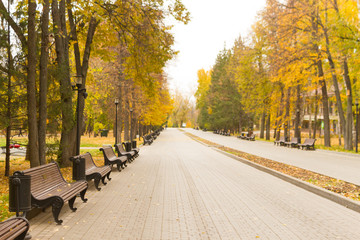 autumn park alley