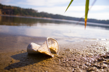 plastic in a lake