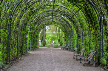 Wooden benches in the alley covered with green plant arches and small statue in the background