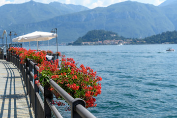 Long line of pots with red pelargonium flowers in full bloom on the edge of Lake Como in a sunny summer day