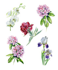 Tropical rhododendron flowers and iris flower. Interior watercolor set with pink azalea and white orchids. Exotic plants print. Pink peony watercolor illustration isolated on white background.