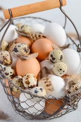 Different types of eggs in a basket on a gray concrete background.