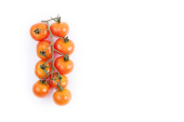 cherry tomatoes on a branch. conceptual photo of cherry tomatoes. macro conceptual, conceptual food photography, white background. isolated